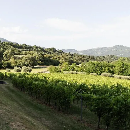 Agriturismo Ca' Cristane *